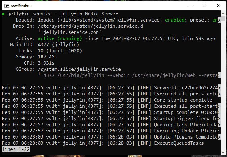 jellyfin status check