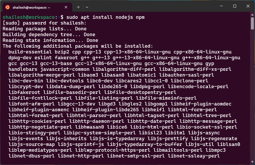 Install nodejs npm package ubuntu