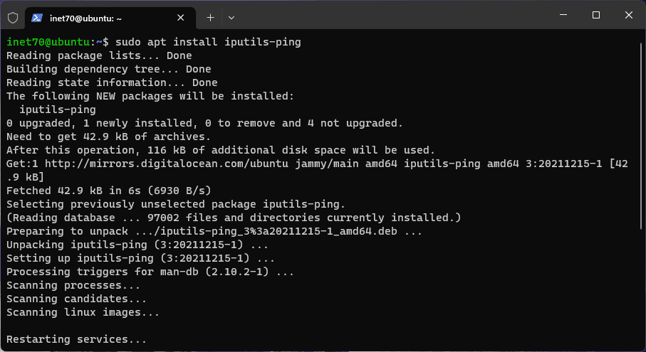 install ping in ubuntu