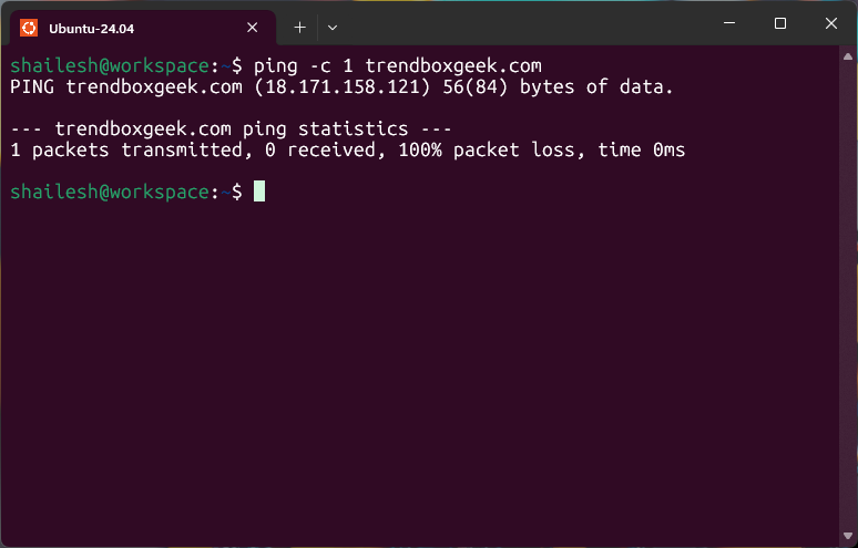 Testing ping command in ubuntu