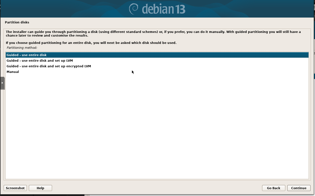 Partition disks option select for installaing debian 13 server