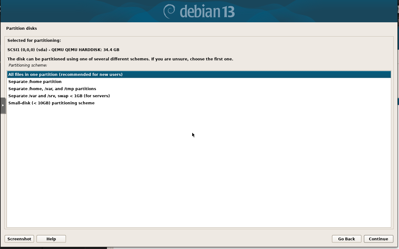 Partion disks option in debian 13 serever installation