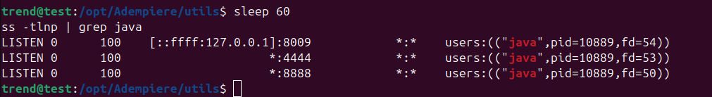 Adempiere installation with java and output of java.