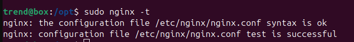 nginx -t's output in installation of Apache OFBIz.