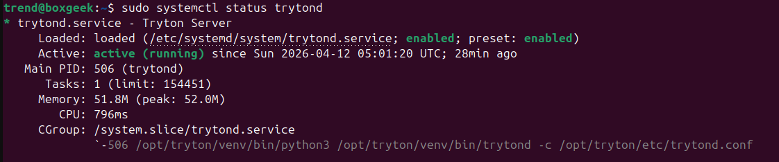 Expected Output for Trytond service.