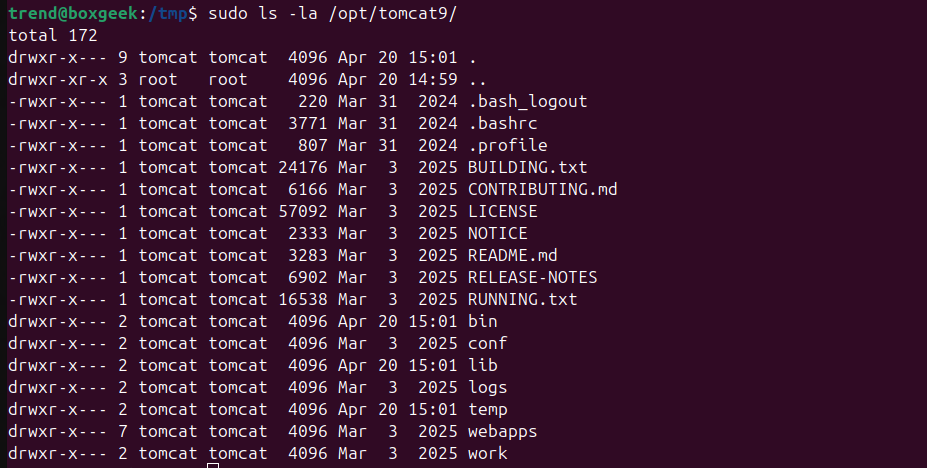 Output for Install Tomcat 9.