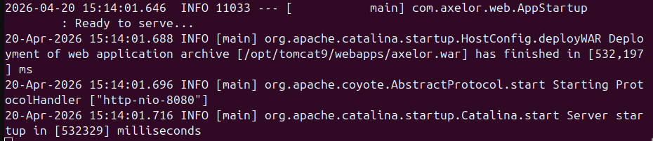Log of Tomcat file.