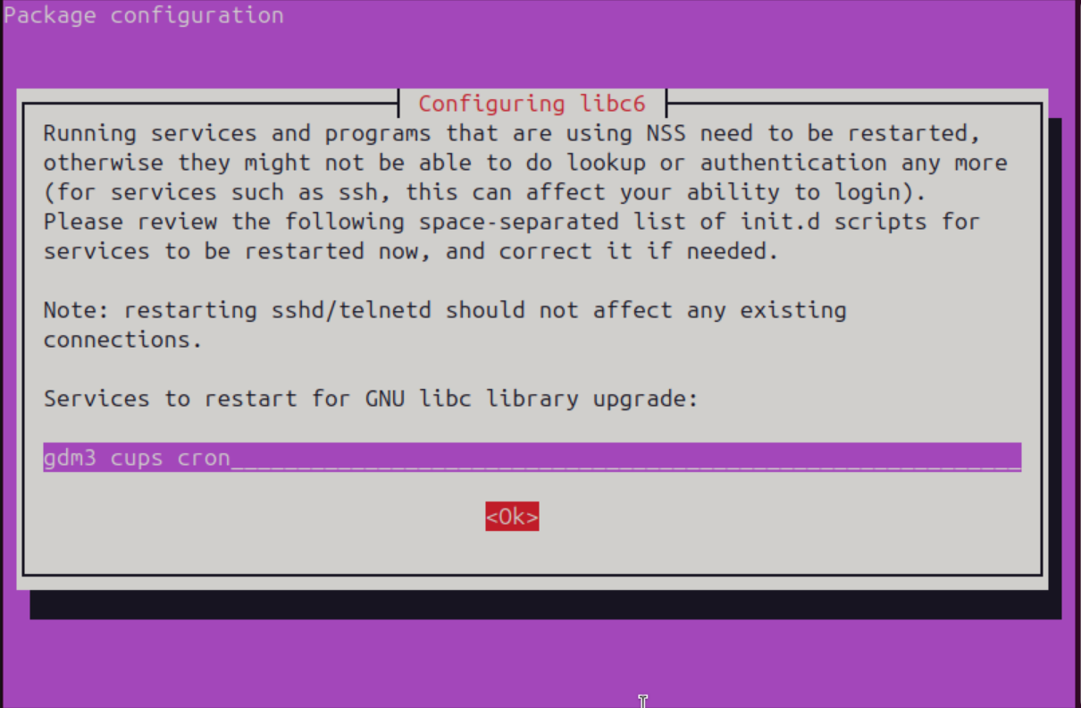 Service to restart for GNU libc library upgrade prompt.