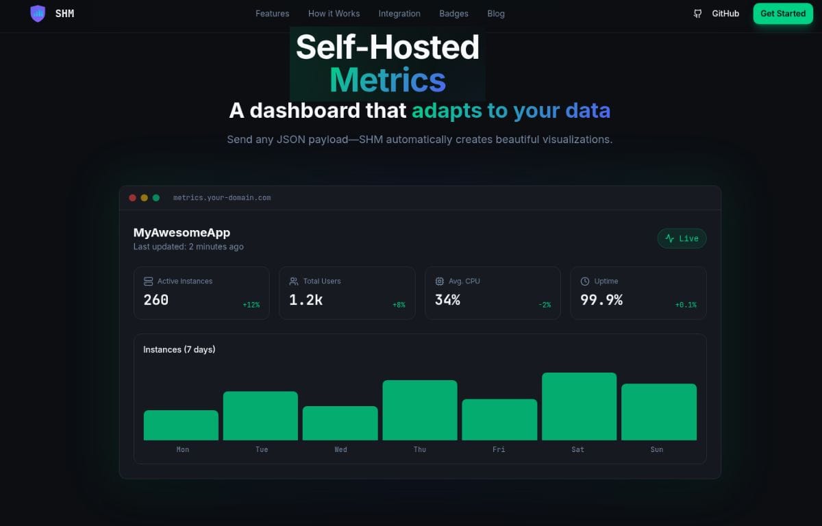 Self-Hosted Metrics's Home Page image.