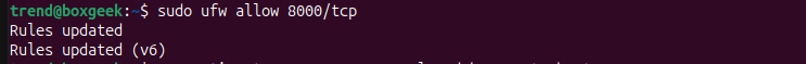 allowed port 8000 on ubuntu 24.04 server.