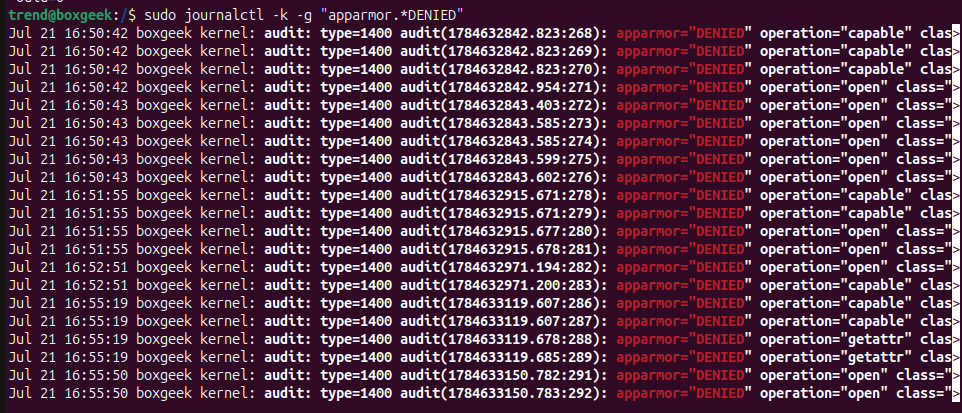 Reading the Audit Logs output.
