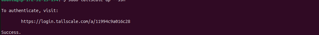 URL for tailscale setup.