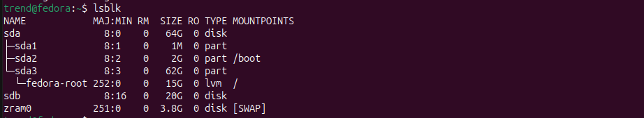 Expected output when we run command lsblk.