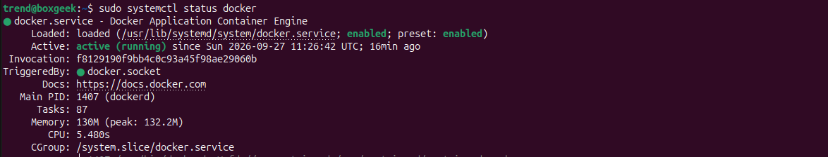 docker status check.