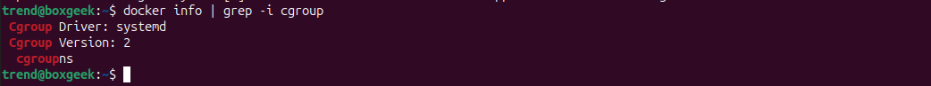check docker info and cgroup.
