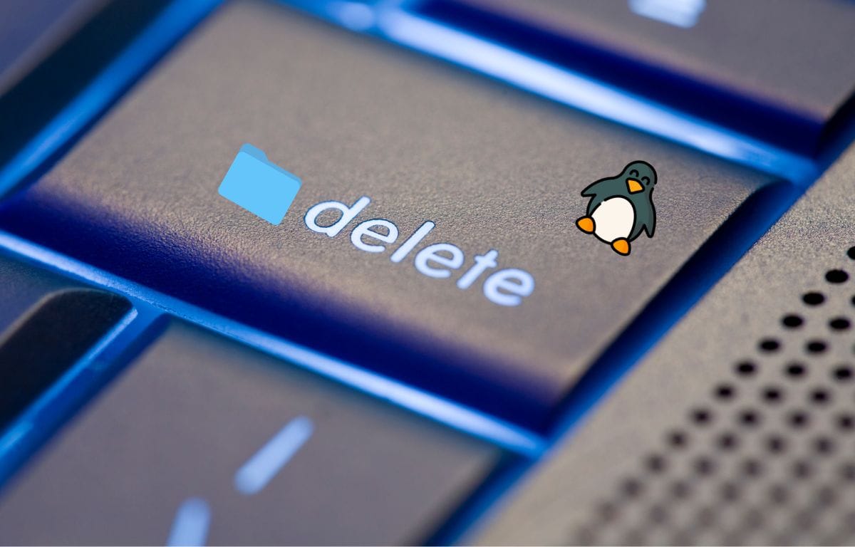 Delete a directory in Linux